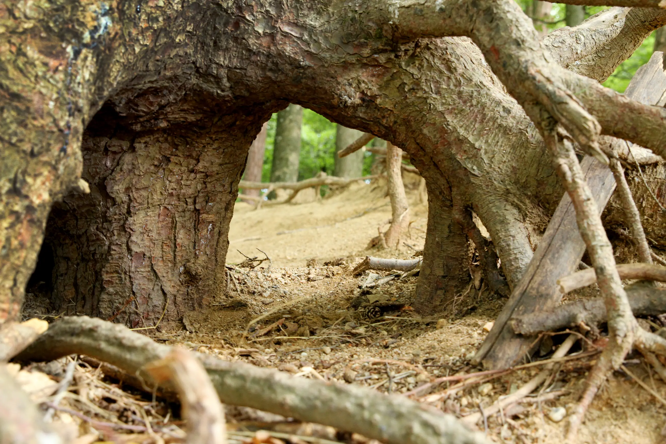 KIP - Meine Arbeitsweise